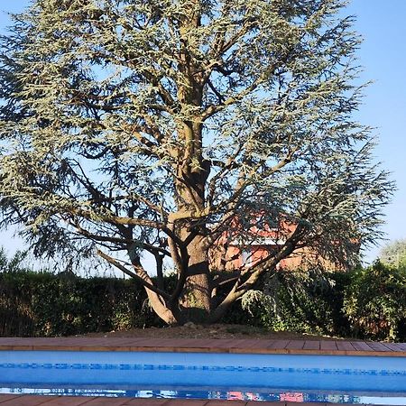 Villa Cresto Gaglianico Εξωτερικό φωτογραφία